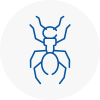 Ant Removals In Bishop Auckland