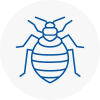 Bed Bug Extermination In Bishop Auckland