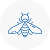 Bee Nest Removal Bishop Auckland