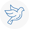 Bird Prevention Bishop Auckland