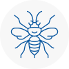 Bishop Auckland Hornet Nest Removals