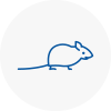 Mice Exterminators In Bishop Auckland