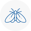 Moth Control Specialists In Bishop Auckland