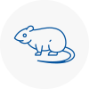 Rat Control Bishop Auckland