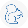 Bishop Auckland Rodent Removals