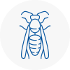 Bishop Auckland Wasp Nest Removal